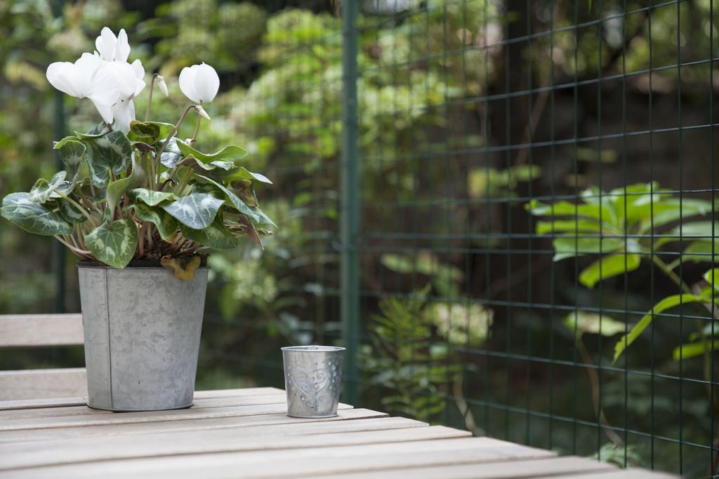 Appartement The Secret Garden *